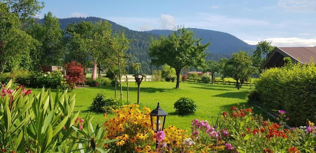 Апартаменты Haus Schmiederer Райт-им-Винкль Экстерьер фото